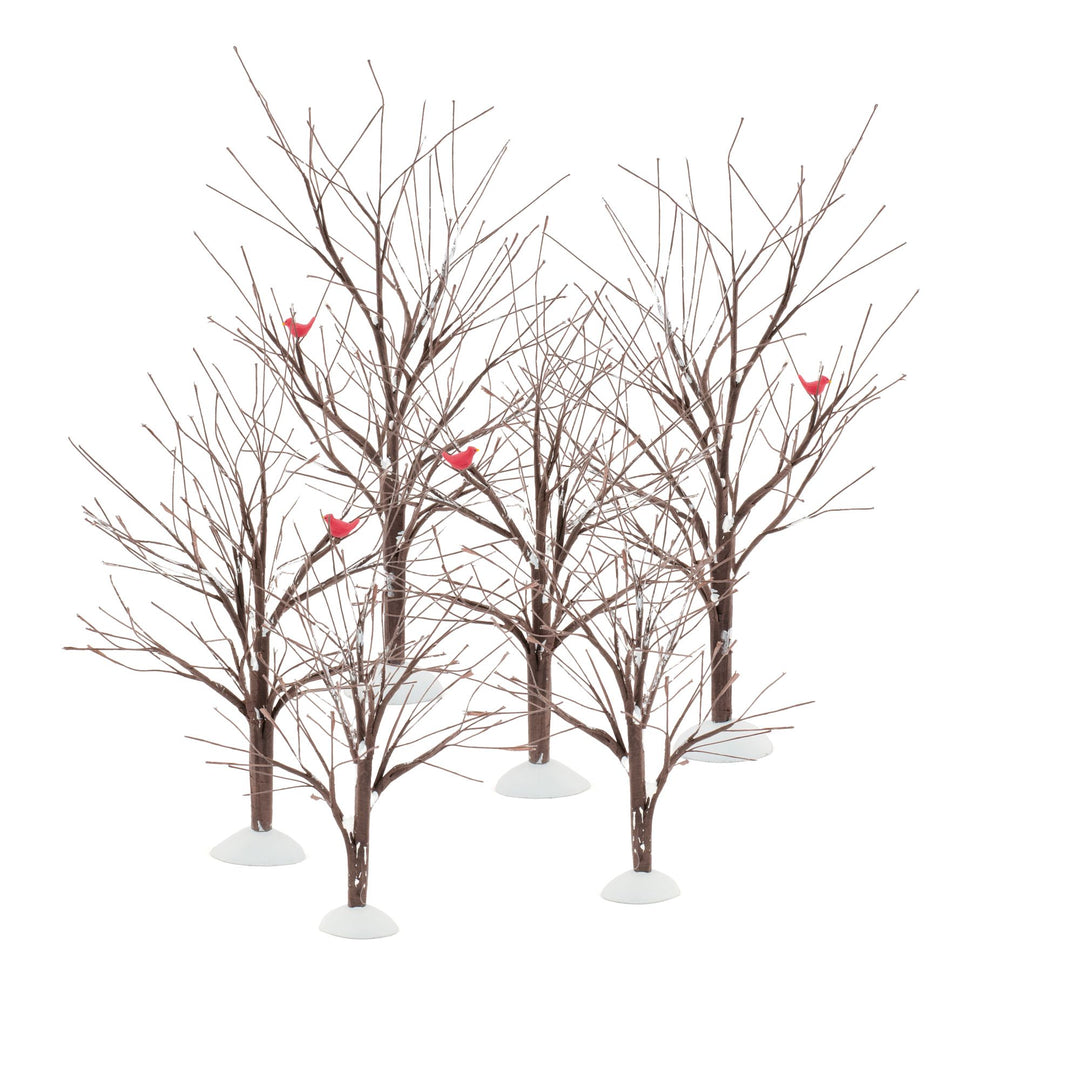 Bare Branch Tree