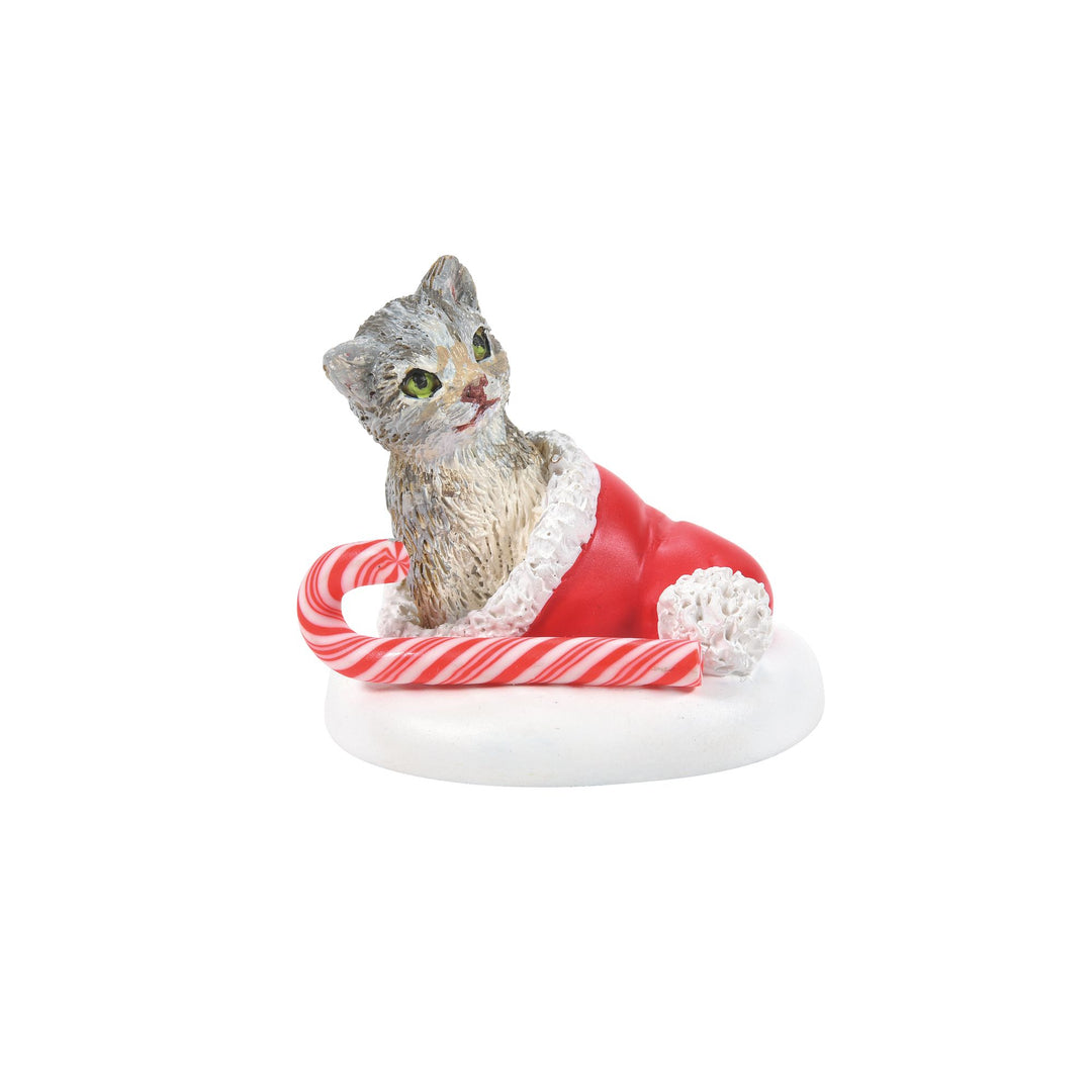 Candy Cane Kitten Surprise