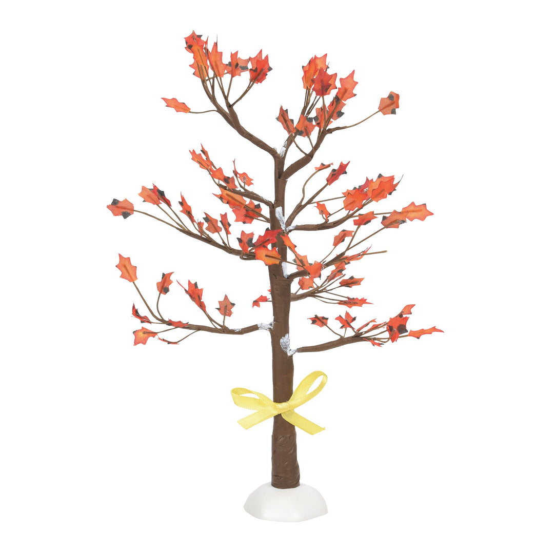 Yellow Ribbon Oak