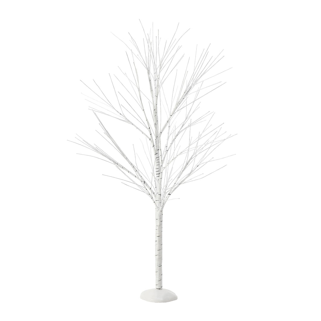 Birch Tree