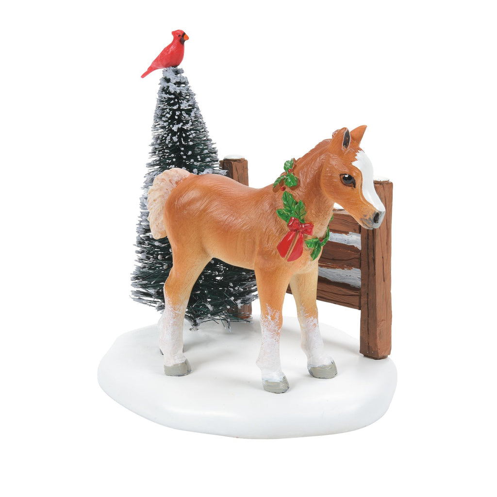 Cardinal Christmas Pony
