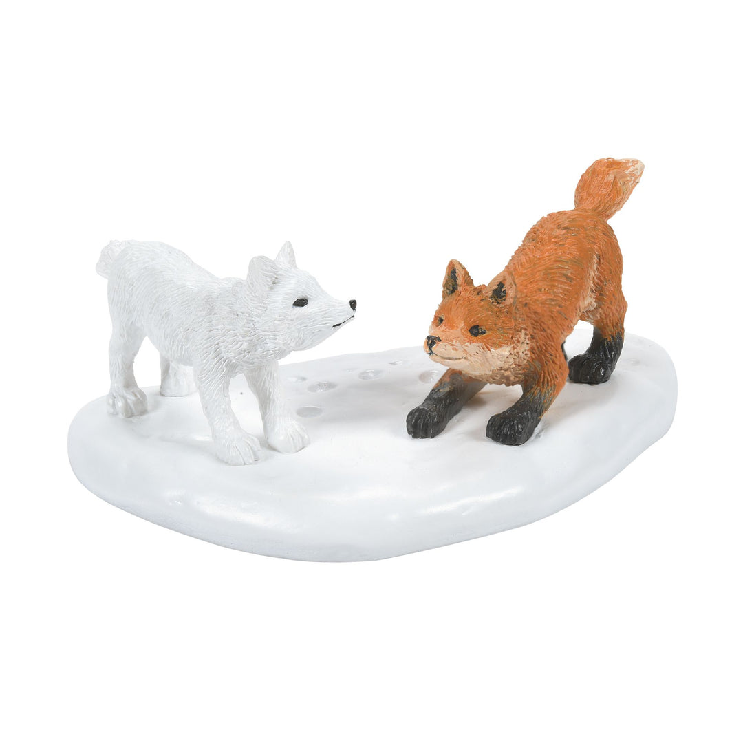 White Christmas Fox Face Off