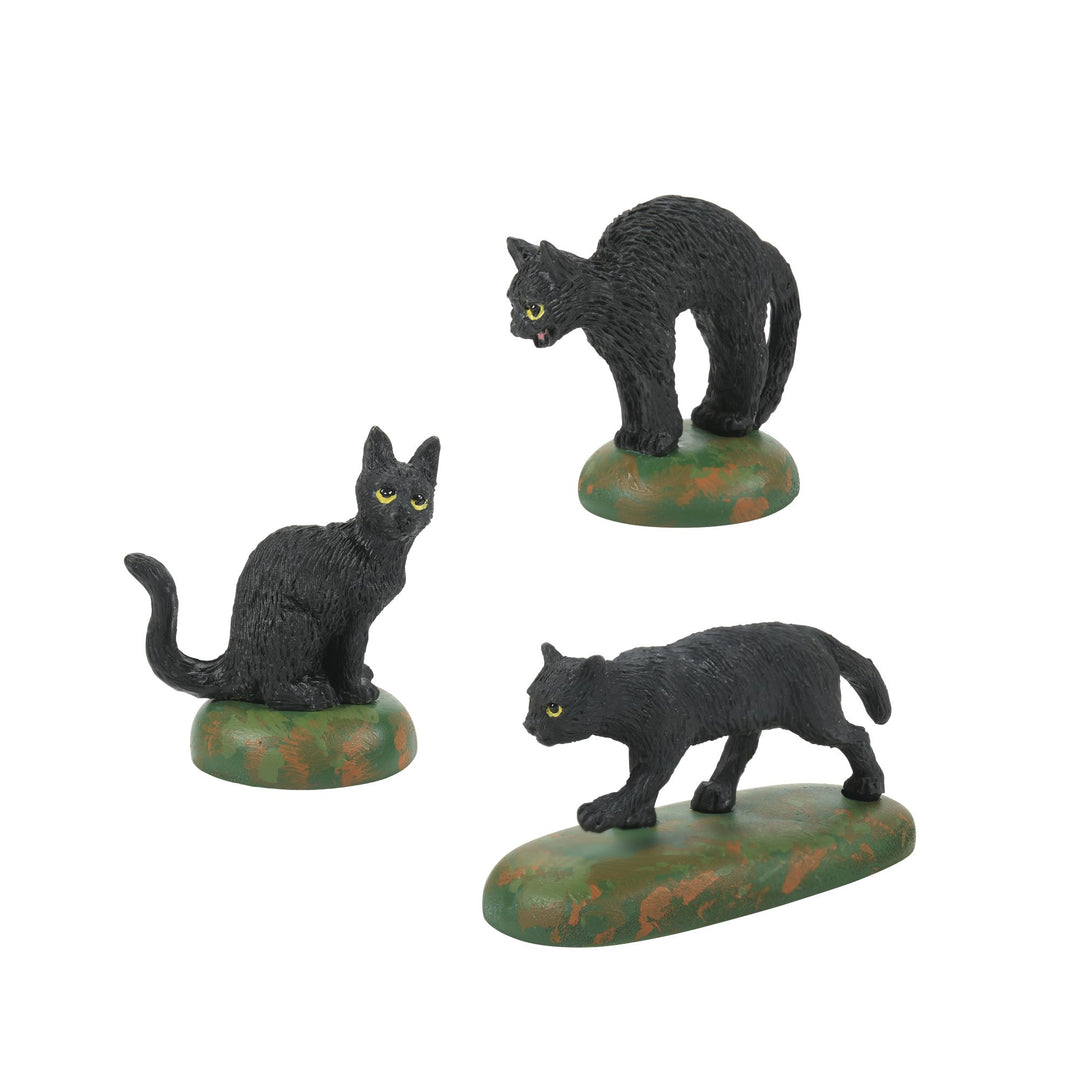 A Clowder Of Black Cats