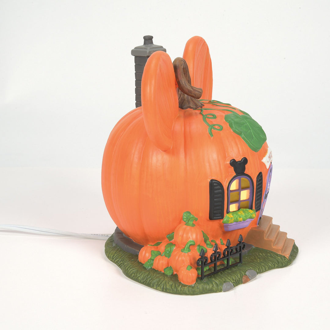 Mickey's Pumpkintown House