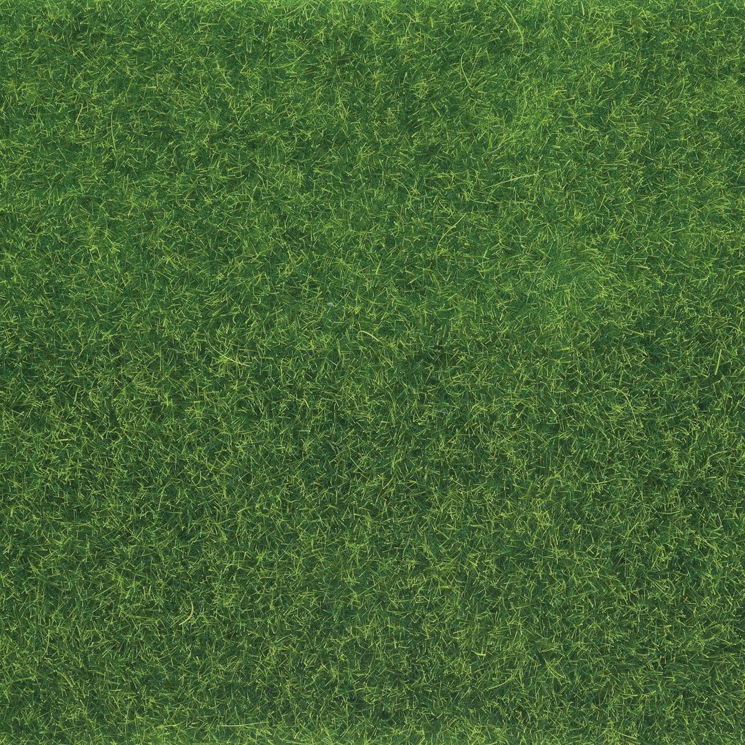 Turf Ground Cover