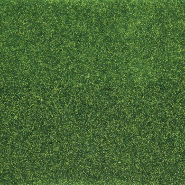 Turf Ground Cover