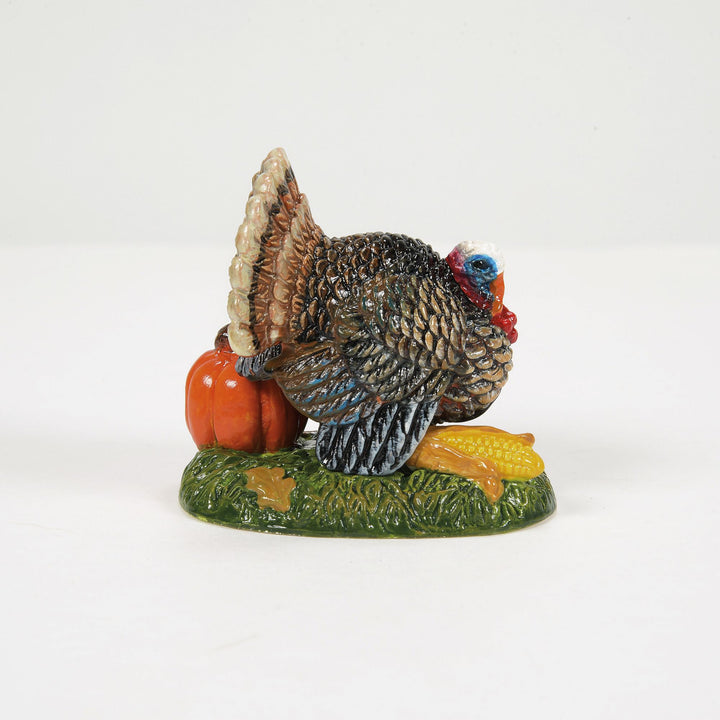 Tom Turkey