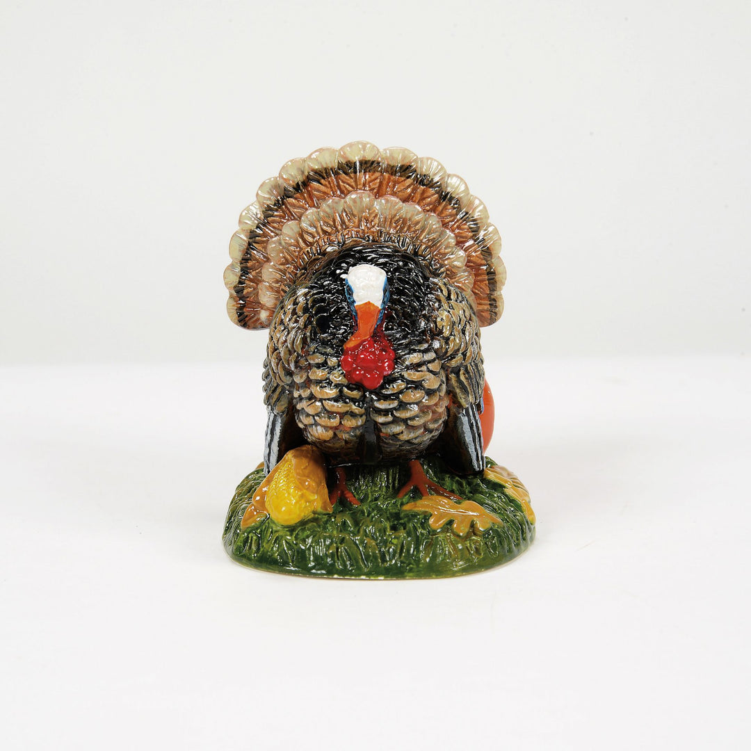 Tom Turkey