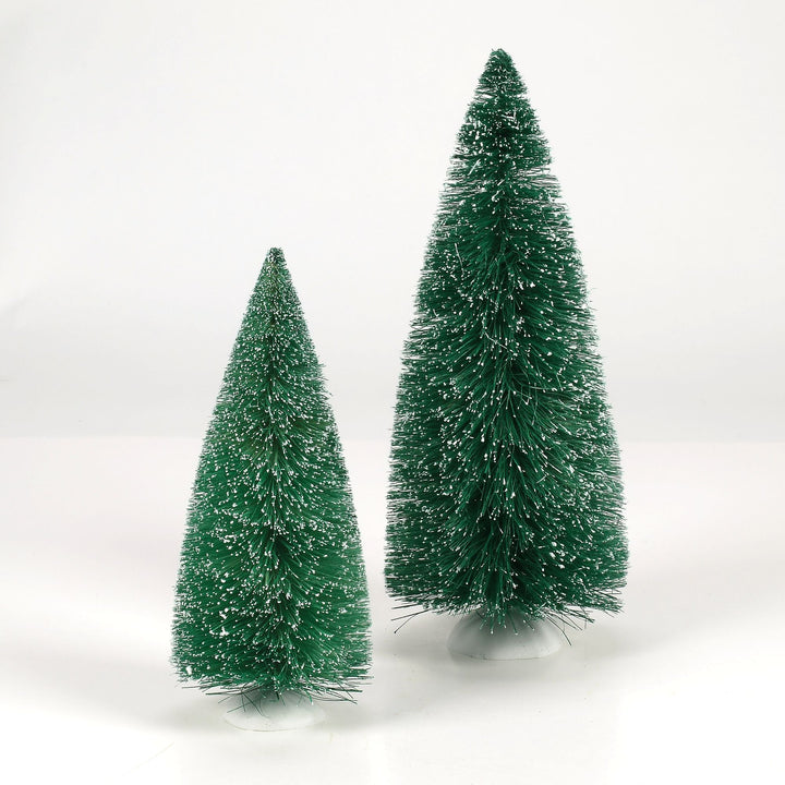 Blue Spruce Pines S/2