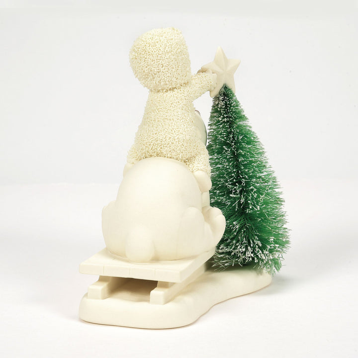 Polar Bear Lift