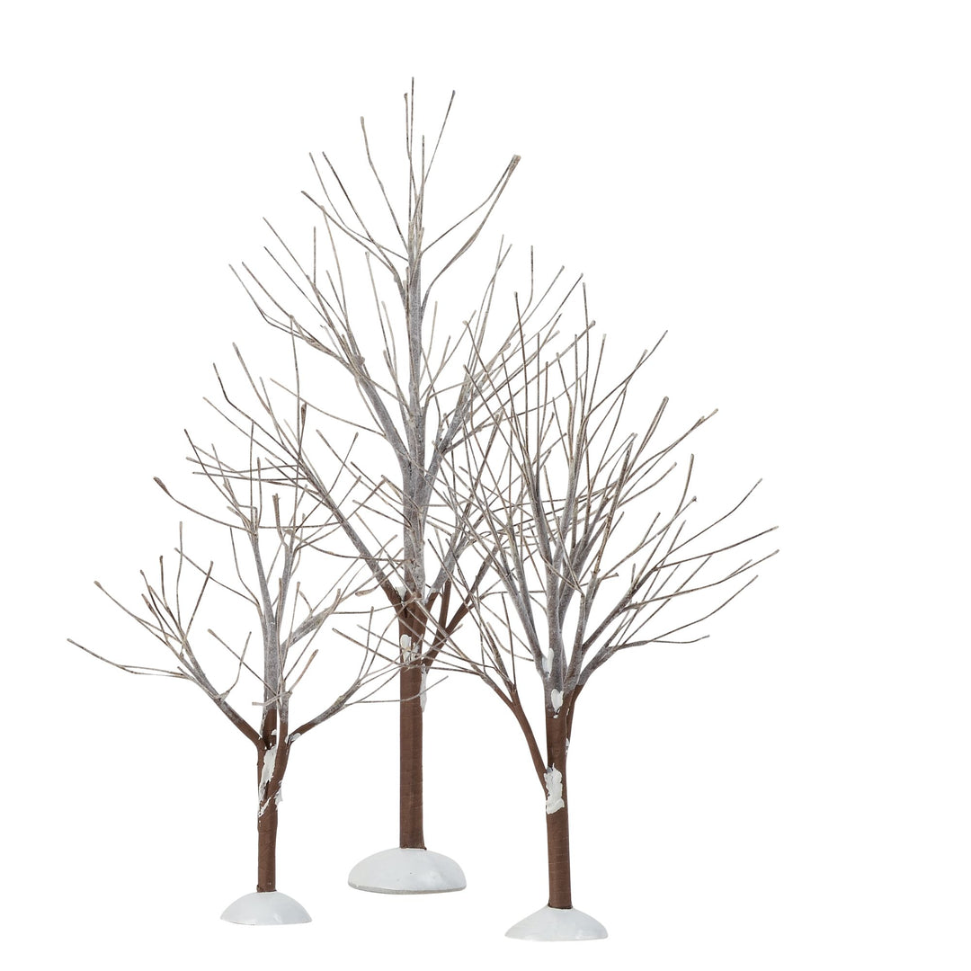 First Frost Trees