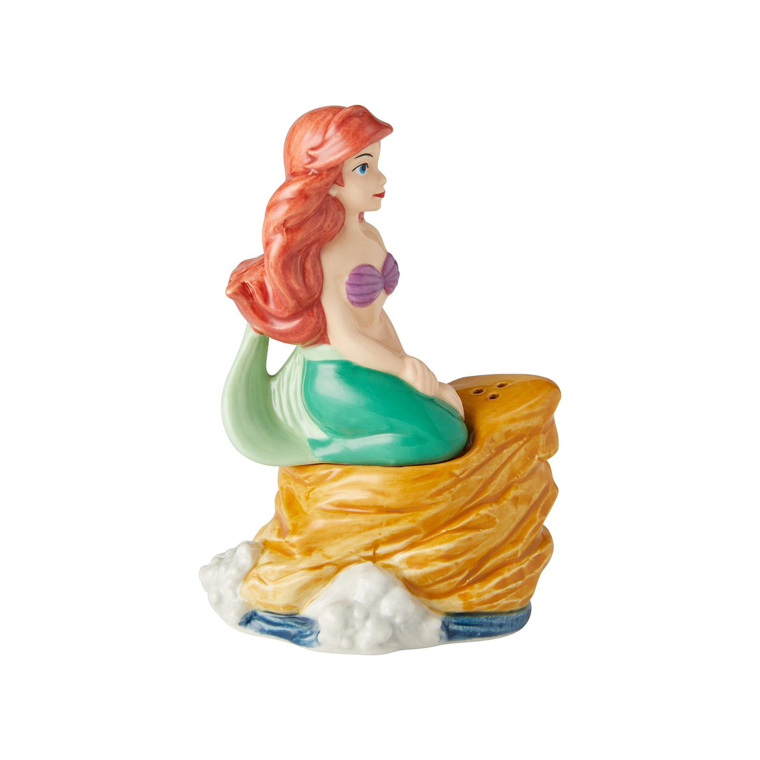 Ariel on Rock