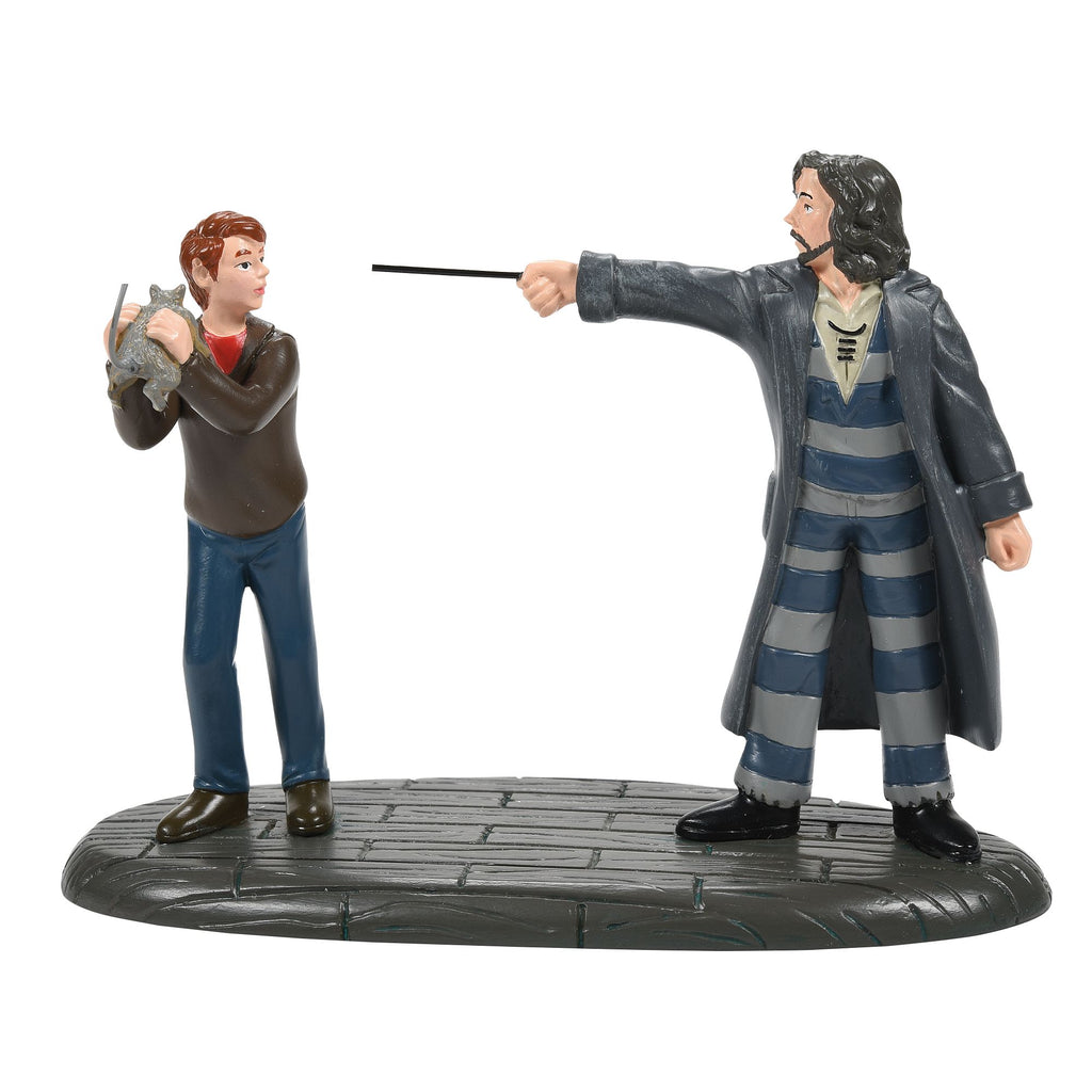Harry Potter Village Come Out and Play, Peter! 6007756 – Department 56  Official Site