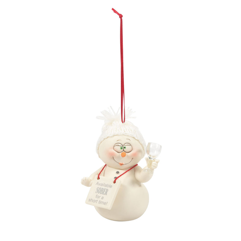 Snowpinions Tagged Hanging Ornament Department 56 Official Site 8914